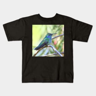 Green Violetear Hummingbird Kids T-Shirt